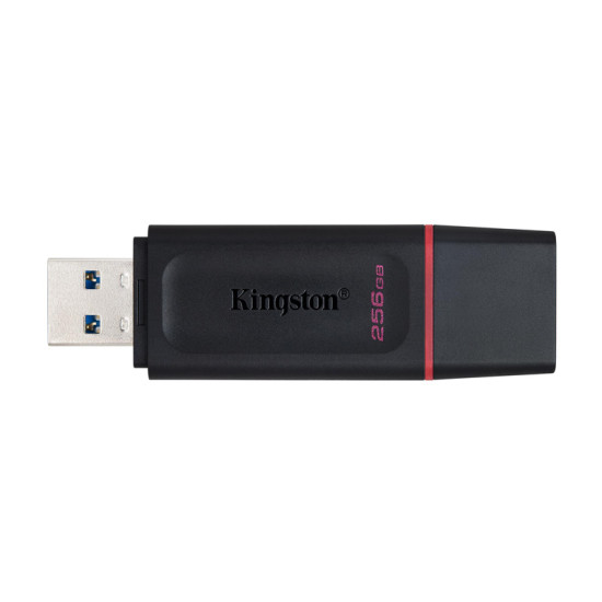 Kingston DTX/256GB 256GB USB Flash Drive, USB 3.2 Gen.1, DataTraveler Exodia