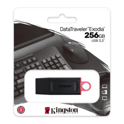 Kingston DTX/256GB 256GB USB Flash Drive, USB 3.2 Gen.1, DataTraveler Exodia