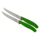 Victorinox 6.7936.12L4B 2/1 Steak&Pizza  12cm zeleni nož