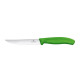 Victorinox 6.7936.12L4B 2/1 Steak&Pizza  12cm zeleni nož