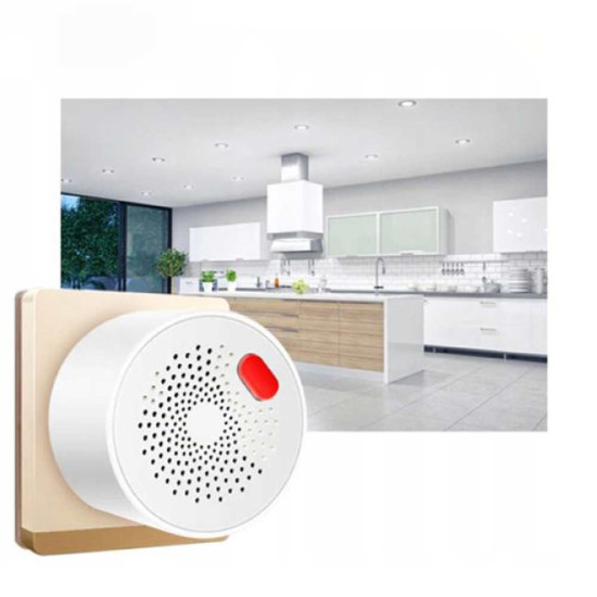 WFS-GS400A Wi-Fi smart senzor gasa sa sirenom